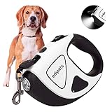 Bild von Edipets LEASH Hundeleine