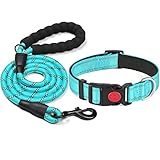 Image of haapaw DCL-14 dog collar