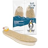 Image of biped insole