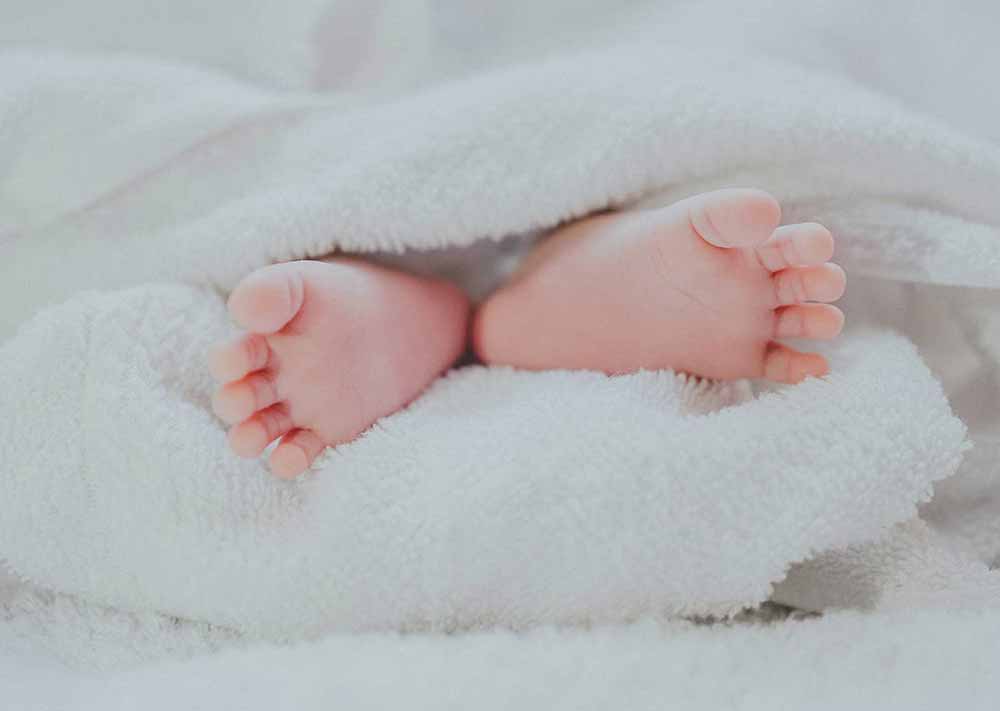 Image of Kids & Baby
