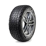 Image of Radar Tires RZD0025 car tyre