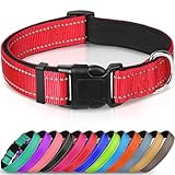 Image of Joytale DC0610517 dog collar