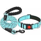 Image of haapaw DCL-14 dog collar
