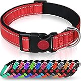 Image of Taglory DC062 dog collar